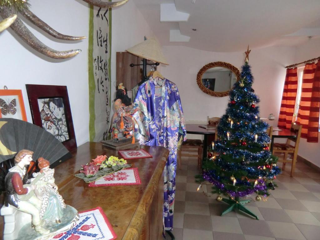 Pension Casa Samurai براشوف المظهر الخارجي الصورة