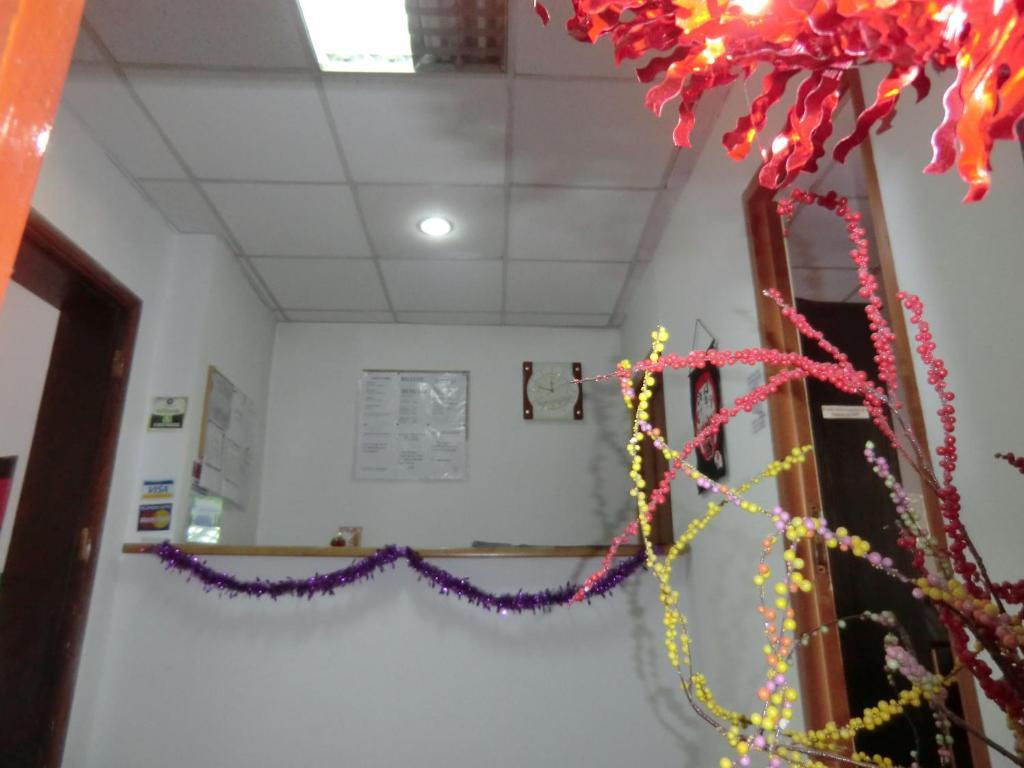 Pension Casa Samurai براشوف المظهر الخارجي الصورة